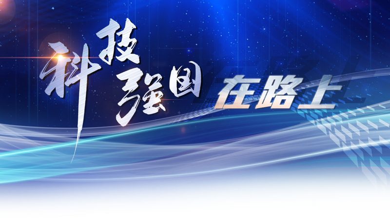 广州跨境电商云服务代理：助力企业高效拓展全球市场